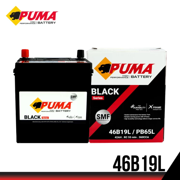 PUMA 46B19L (PB65L)