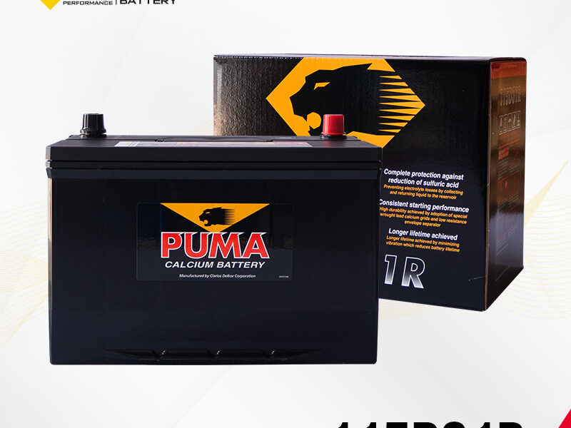 แบตเตอรี่รถยนต์ PUMA รุ่น 115D31R setbox