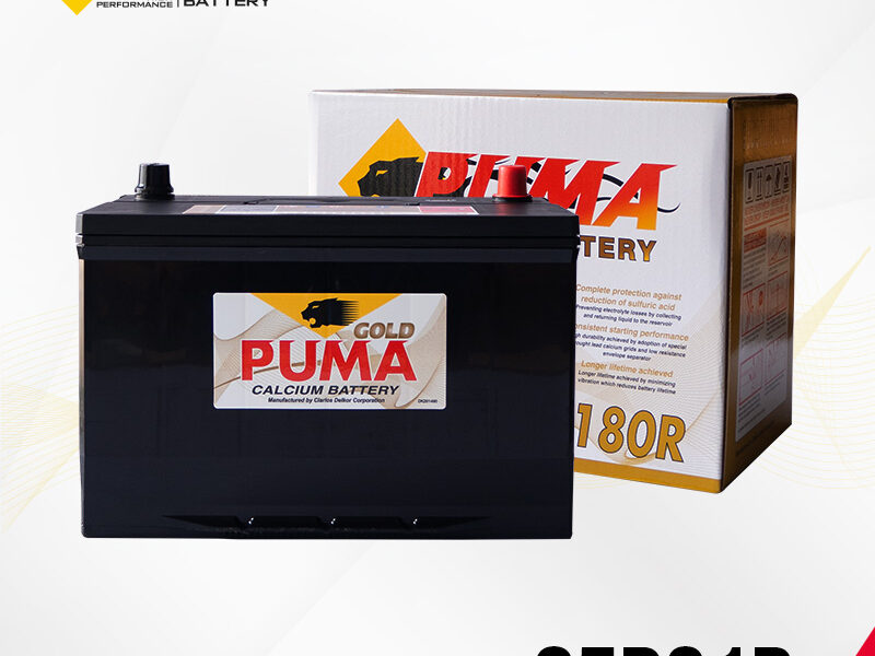 แบตเตอรี่รถยนต์ PUMA รุ่น 95D31R setbox