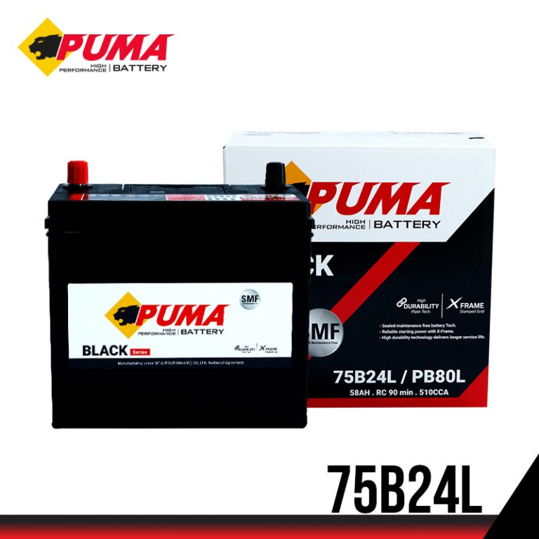 PUMA 75B24L (PB80L)