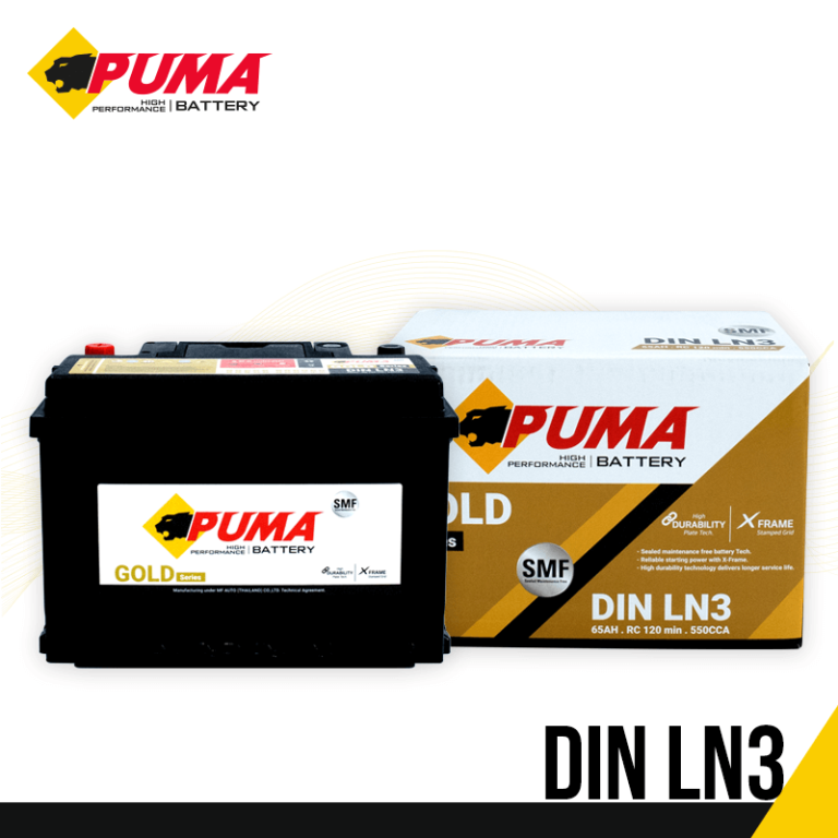 PUMA DIN LN3